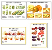 Плакаты ПРОФТЕХ "Ассортимент овощных культур" (12 пл, винил, 70х100) - fgospostavki.ru - Санкт-Петербург