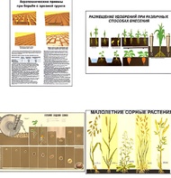 Плакаты ПРОФТЕХ "Агрономия" (5 пл, винил, 70х100) - fgospostavki.ru - Санкт-Петербург