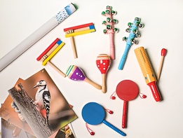 Комплект шумовых музыкальных инструментов - fgospostavki.ru - Санкт-Петербург