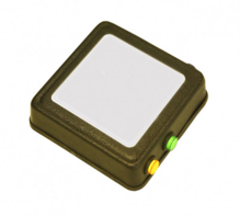 Говорящий магнит - fgospostavki.ru - Санкт-Петербург