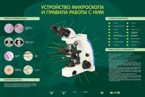 Электрифицированный стенд "Устройство микроскопа и правила работы c ним" - fgospostavki.ru - Санкт-Петербург