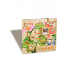 Панель «Жизненный цикл бабочки» - fgospostavki.ru - Санкт-Петербург