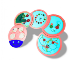 Тактильно-развивающая панель «Гусеница» - fgospostavki.ru - Санкт-Петербург