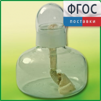 Спиртовка демонстрационная - fgospostavki.ru - Санкт-Петербург