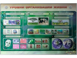 Электрифицированный стенд "Уровни организации жизни" - fgospostavki.ru - Санкт-Петербург