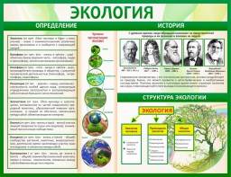 Стенд "Экология" - fgospostavki.ru - Санкт-Петербург